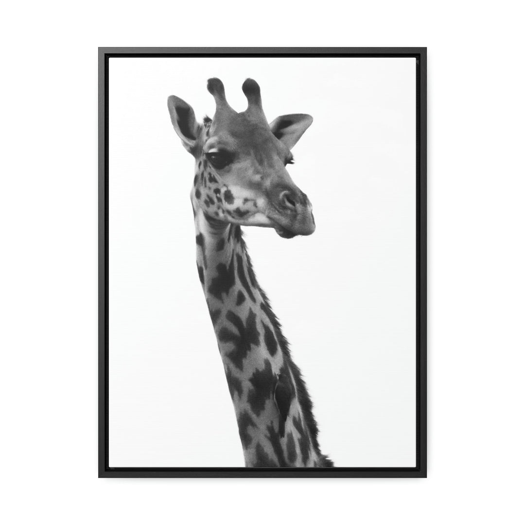 Giraffe Portrait in Black and White - Canvas With Frame - Visiting This World