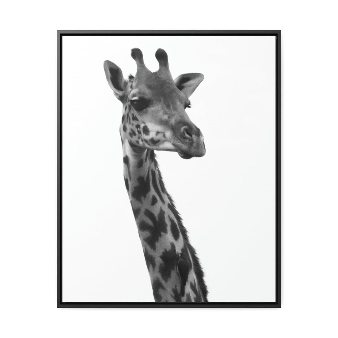 Giraffe Portrait in Black and White - Canvas With Frame - Visiting This World