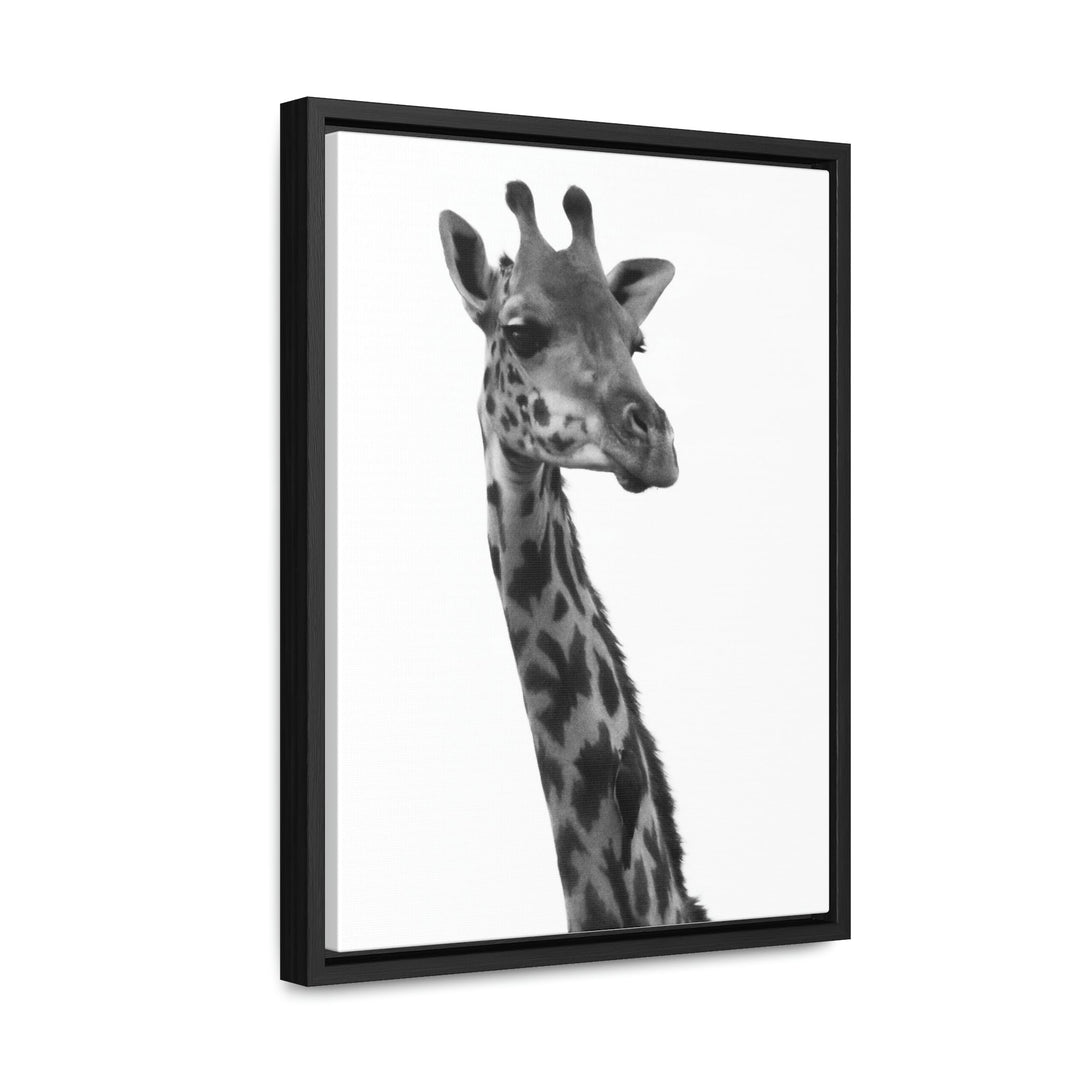 Giraffe Portrait in Black and White - Canvas With Frame - Visiting This World