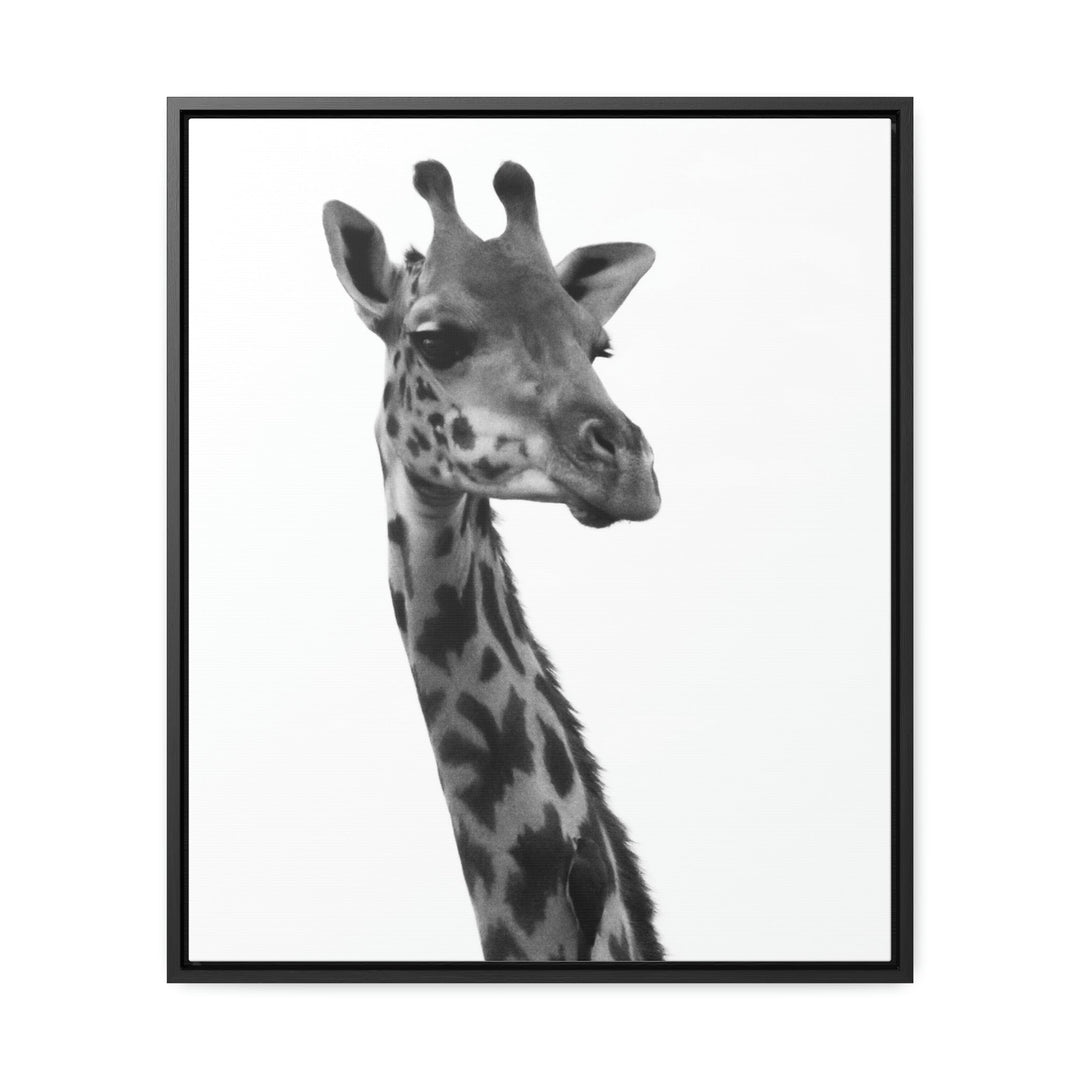 Giraffe Portrait in Black and White - Canvas With Frame - Visiting This World