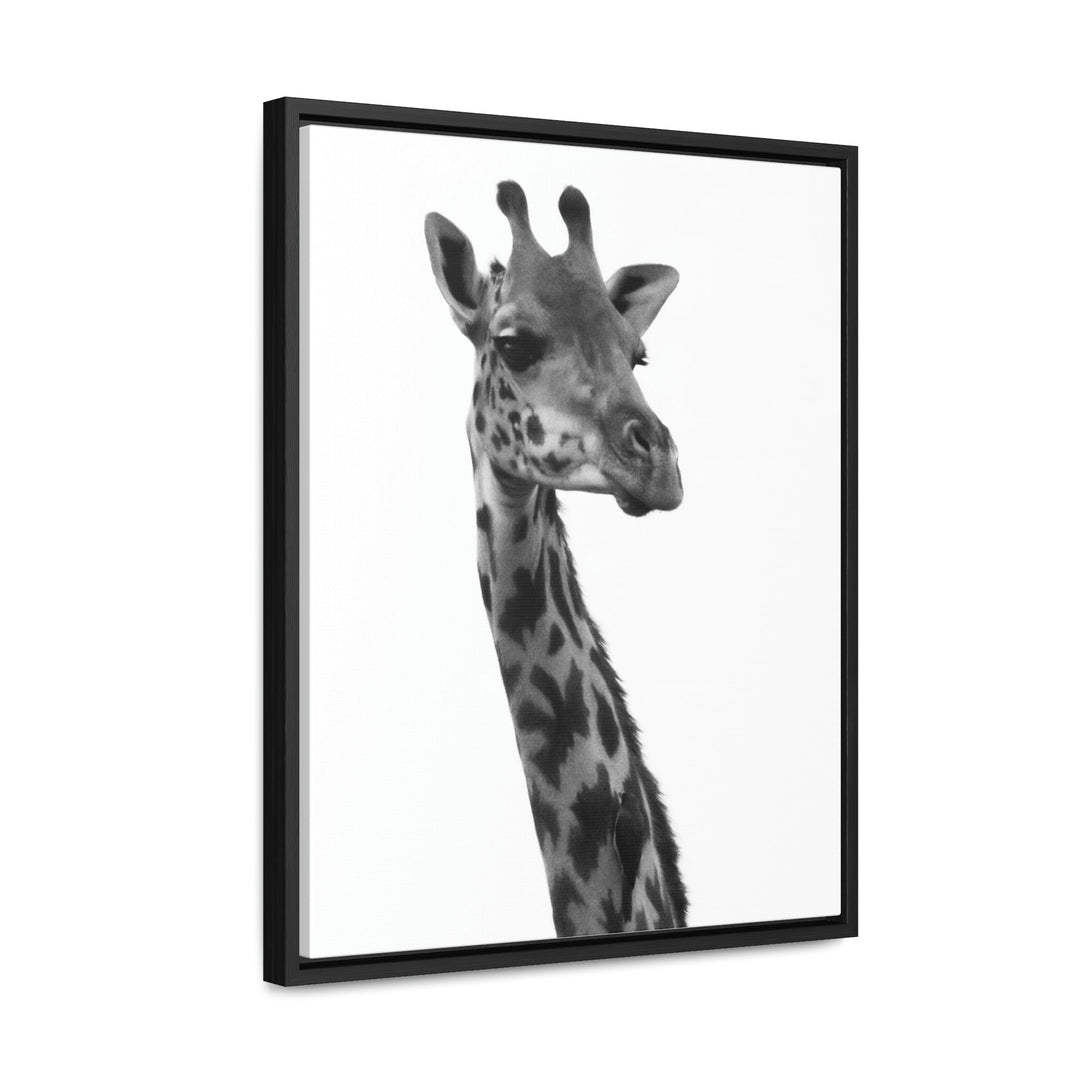 Giraffe Portrait in Black and White - Canvas With Frame - Visiting This World