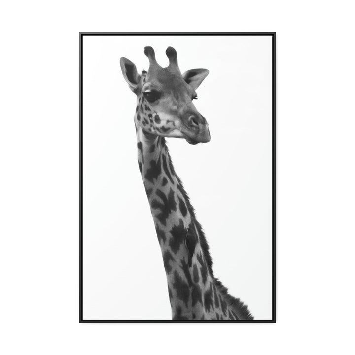 Giraffe Portrait in Black and White - Canvas With Frame - Visiting This World