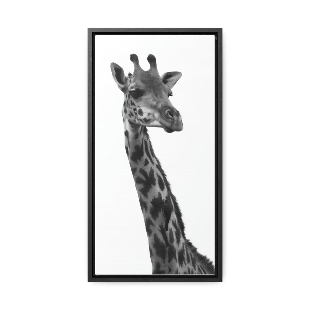 Giraffe Portrait in Black and White - Canvas With Frame - Visiting This World