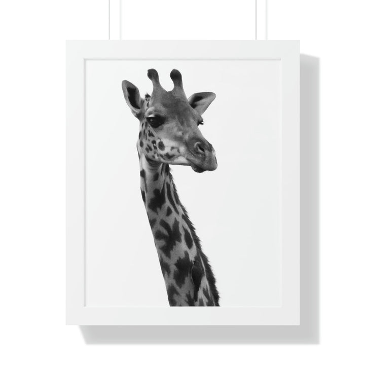 Giraffe Portrait in Black and White - Framed Print - Visiting This World