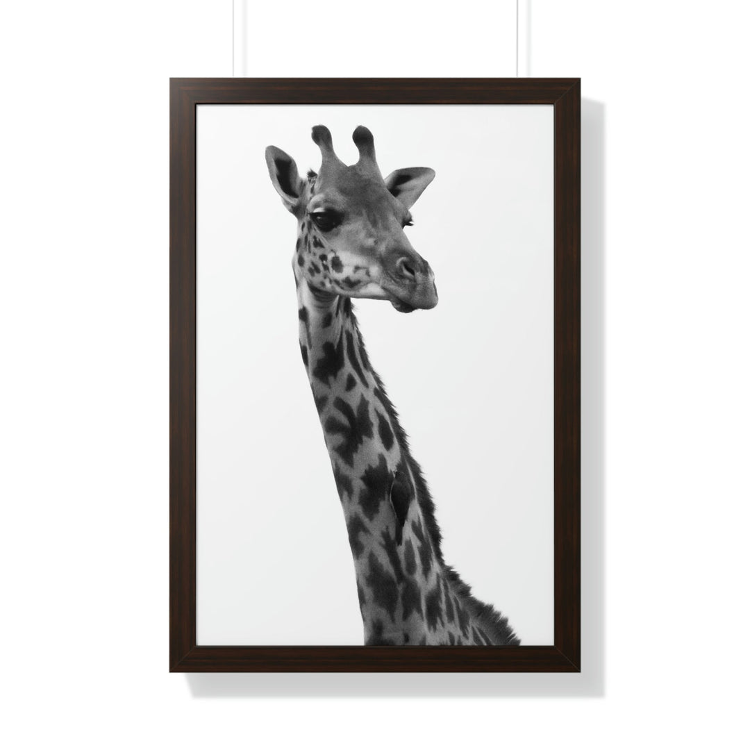 Giraffe Portrait in Black and White - Framed Print - Visiting This World