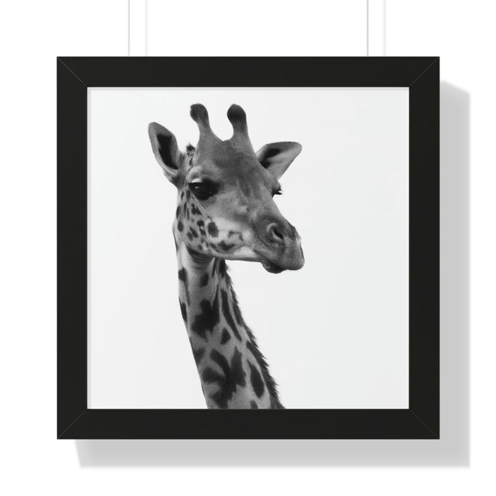 Giraffe Portrait in Black and White - Framed Print - Visiting This World