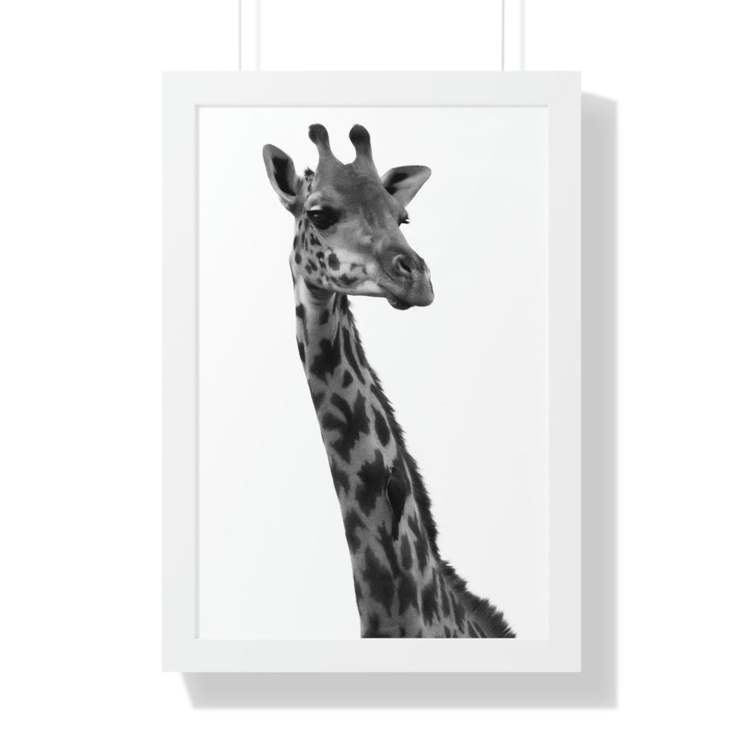 Giraffe Portrait in Black and White - Framed Print - Visiting This World