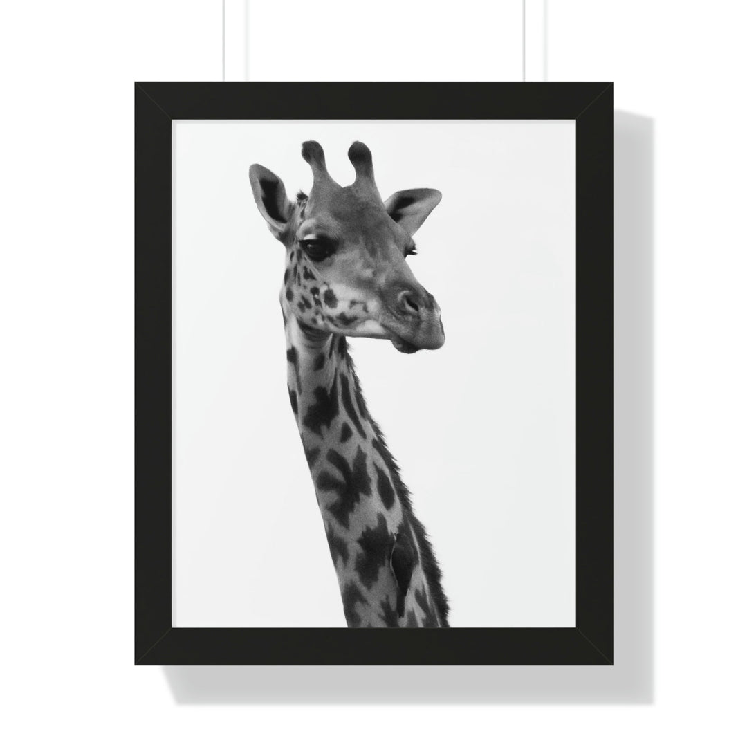 Giraffe Portrait in Black and White - Framed Print - Visiting This World