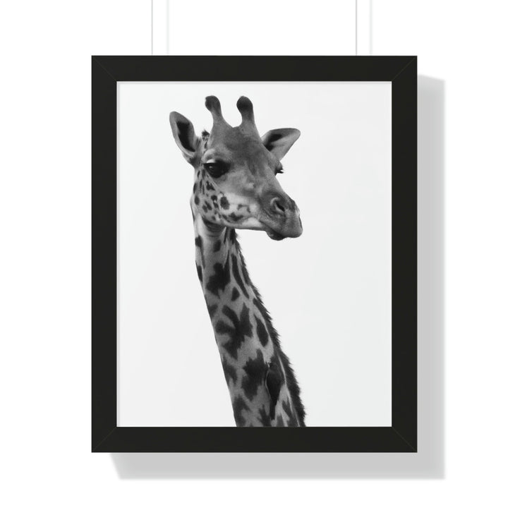 Giraffe Portrait in Black and White - Framed Print - Visiting This World