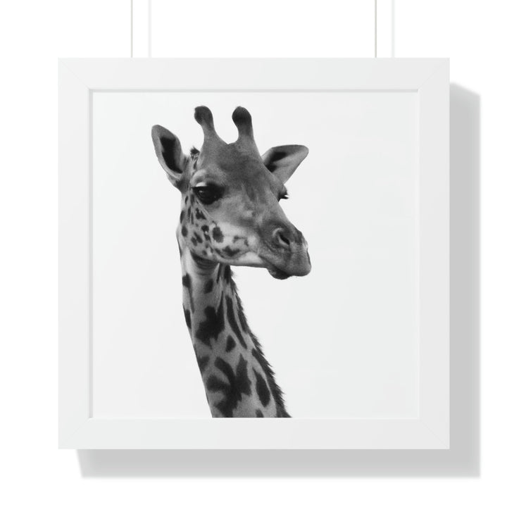 Giraffe Portrait in Black and White - Framed Print - Visiting This World