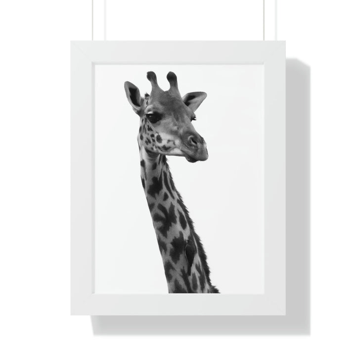 Giraffe Portrait in Black and White - Framed Print - Visiting This World