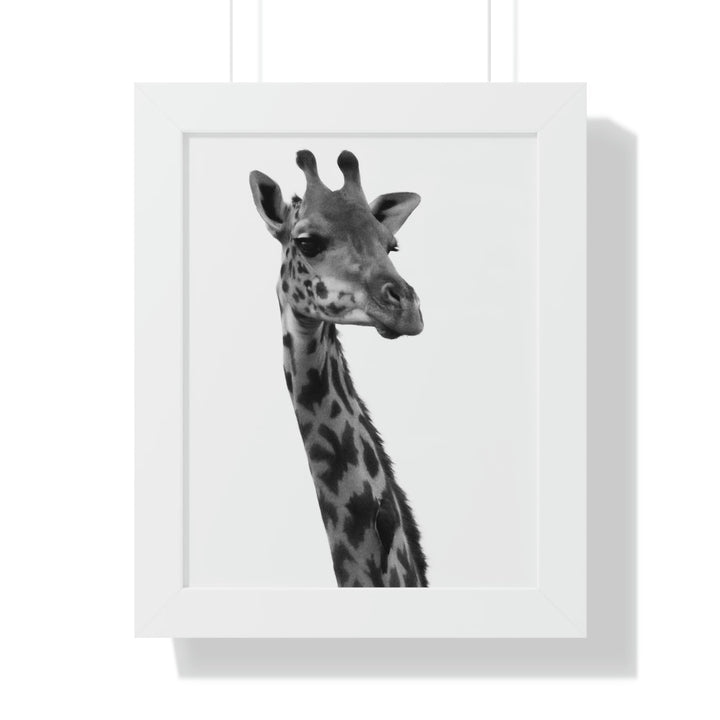 Giraffe Portrait in Black and White - Framed Print - Visiting This World