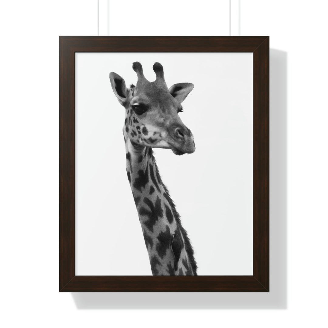 Giraffe Portrait in Black and White - Framed Print - Visiting This World