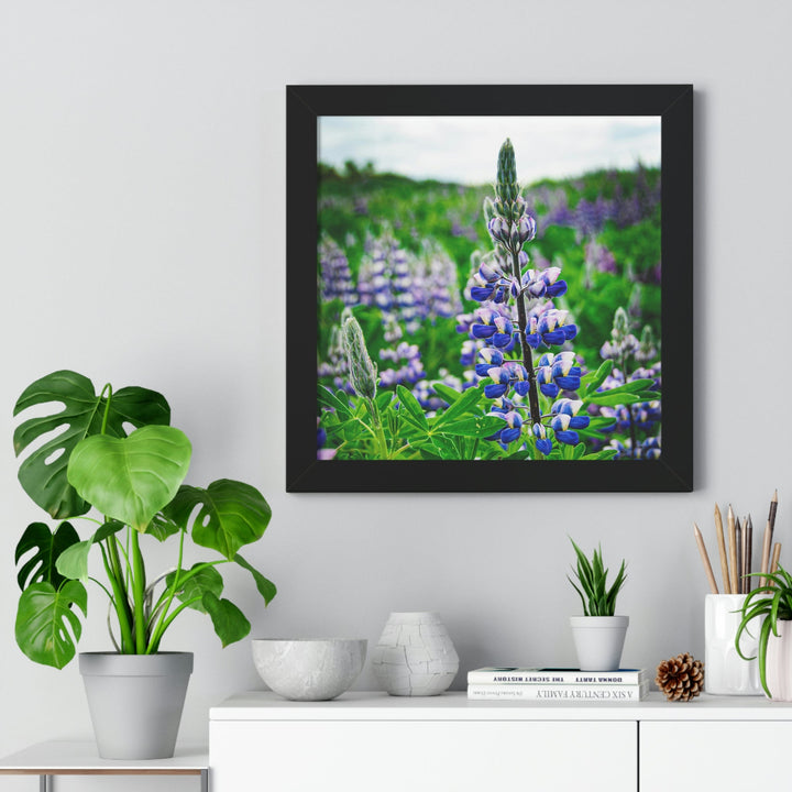 Glowing Lupin - Framed Print - Visiting This World