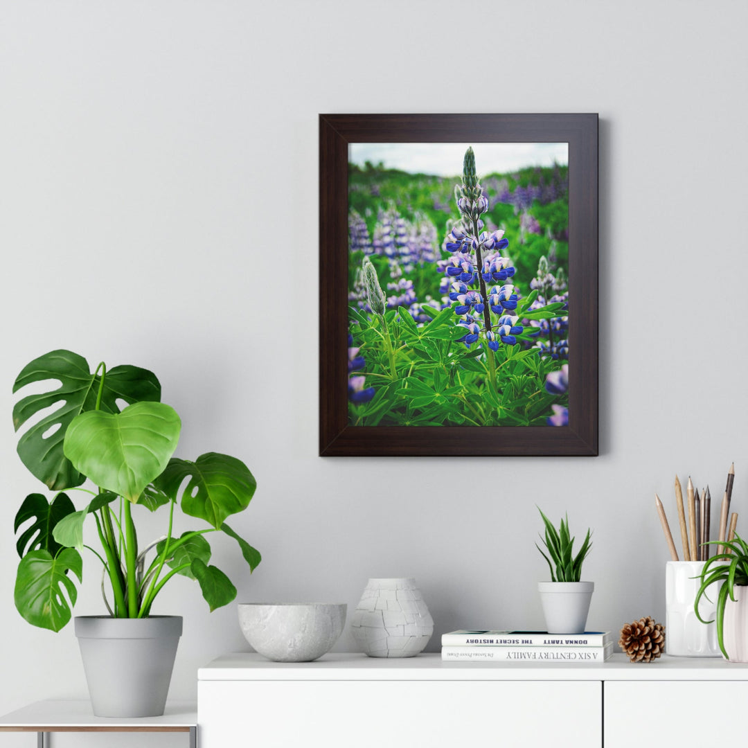 Glowing Lupin - Framed Print - Visiting This World