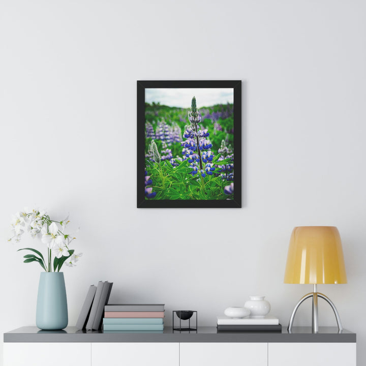 Glowing Lupin - Framed Print - Visiting This World