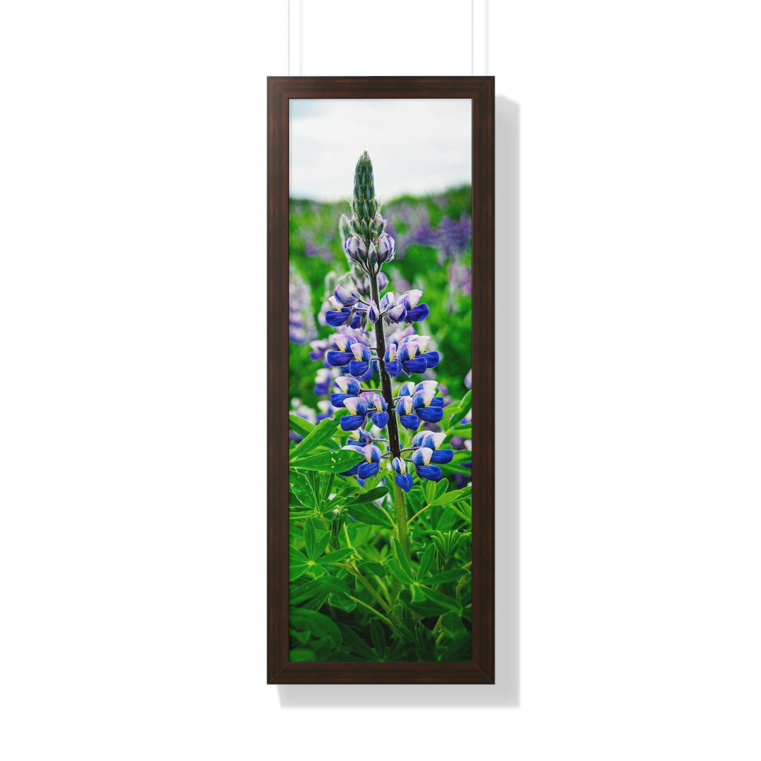 Glowing Lupin - Framed Print - Visiting This World