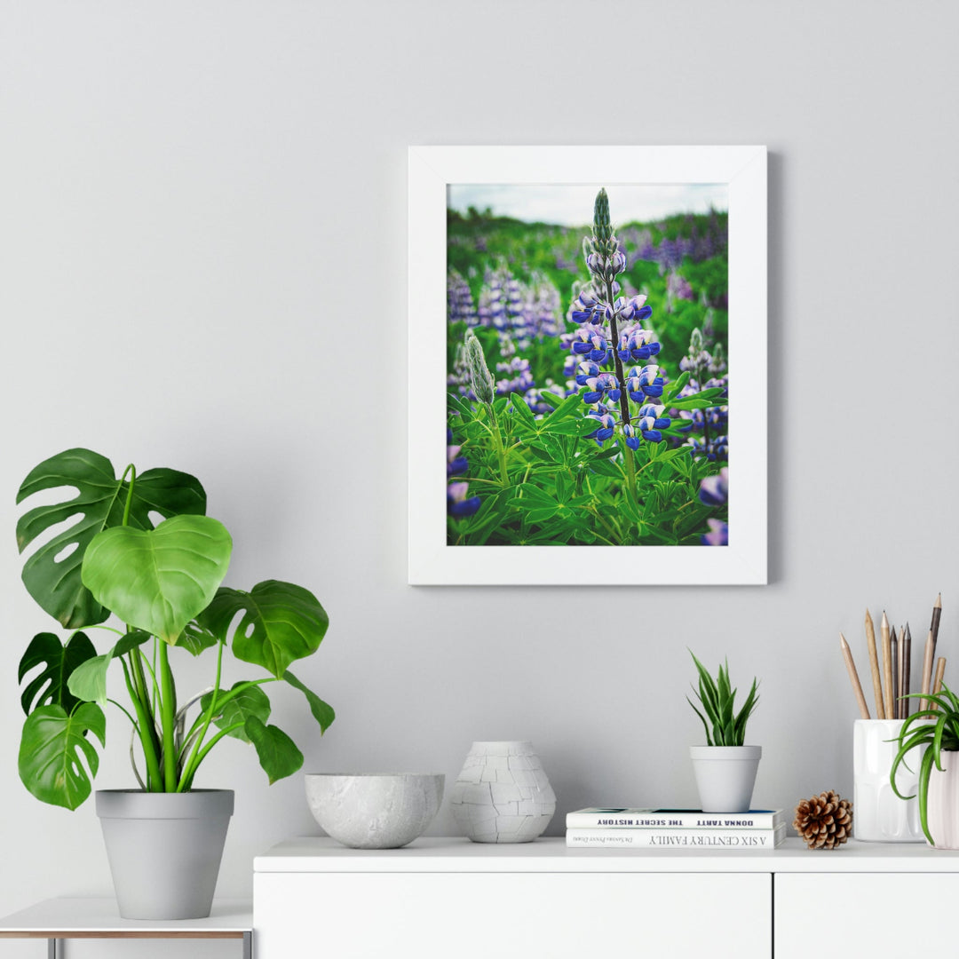 Glowing Lupin - Framed Print - Visiting This World