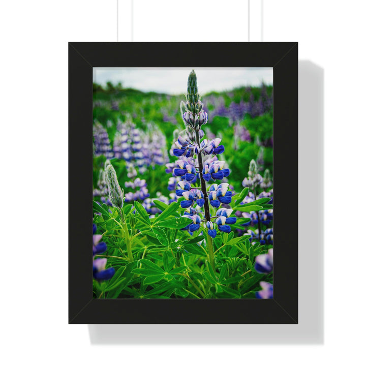 Glowing Lupin - Framed Print - Visiting This World