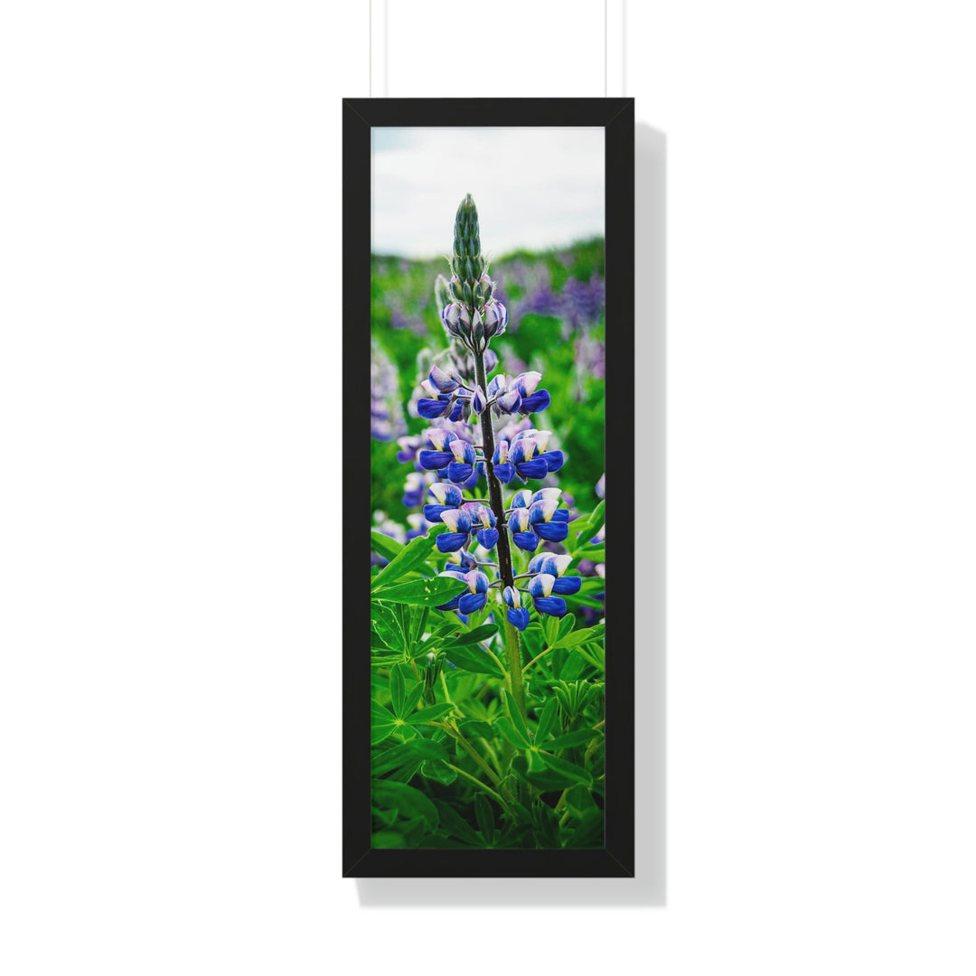 Glowing Lupin - Framed Print - Visiting This World