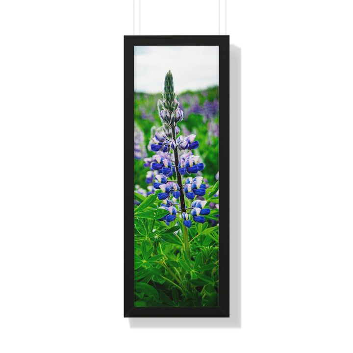 Glowing Lupin - Framed Print - Visiting This World