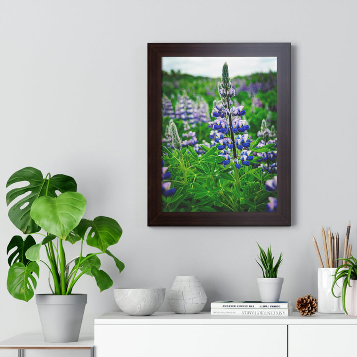 Glowing Lupin - Framed Print - Visiting This World