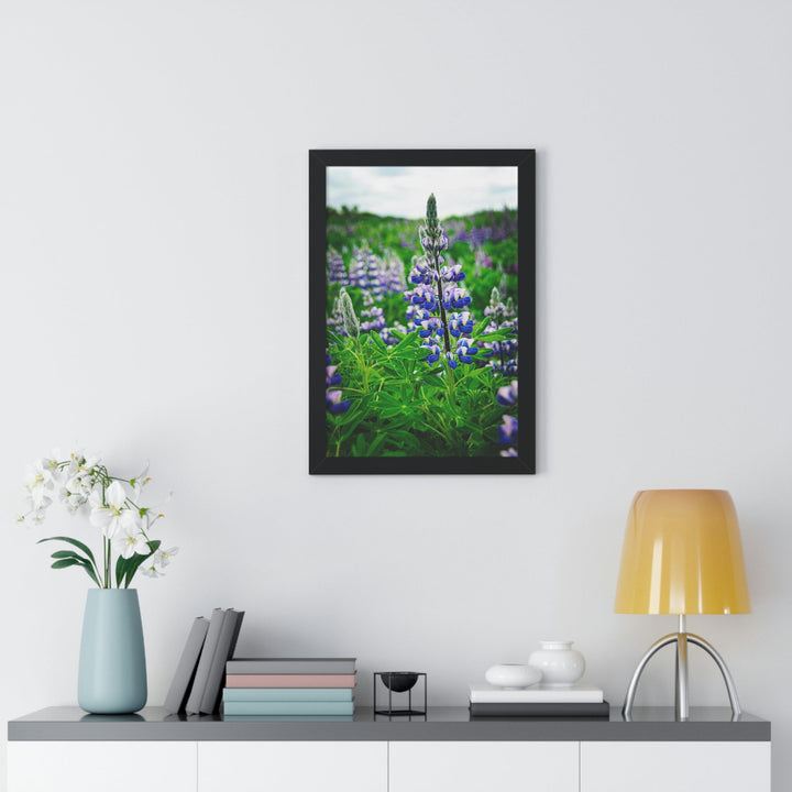 Glowing Lupin - Framed Print - Visiting This World