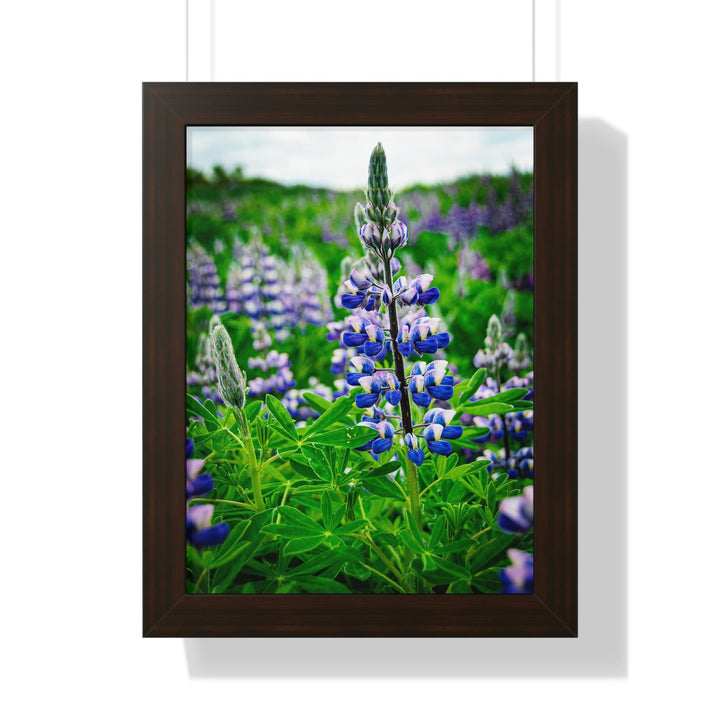 Glowing Lupin - Framed Print - Visiting This World