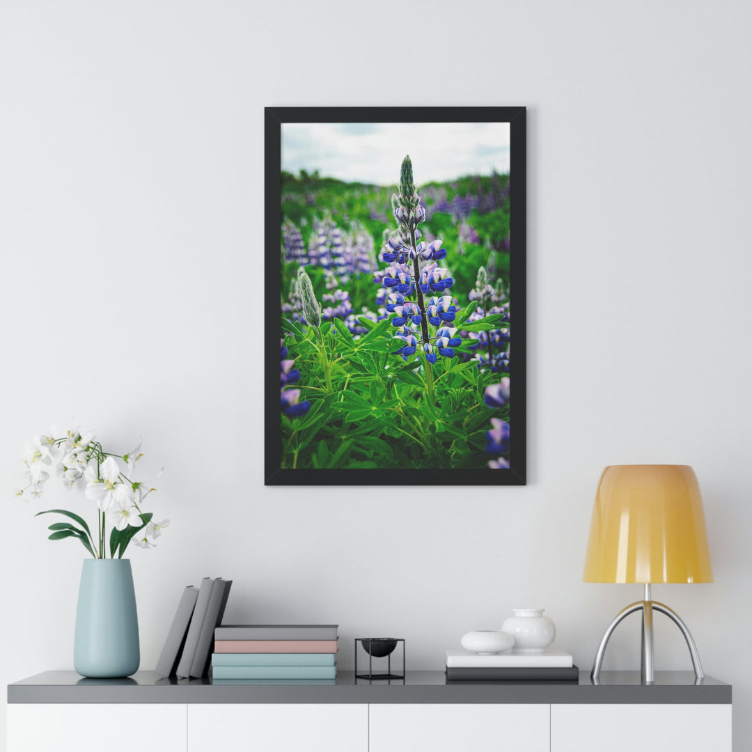 Glowing Lupin - Framed Print - Visiting This World