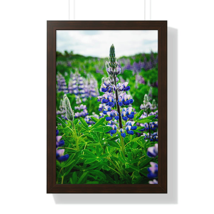 Glowing Lupin - Framed Print - Visiting This World