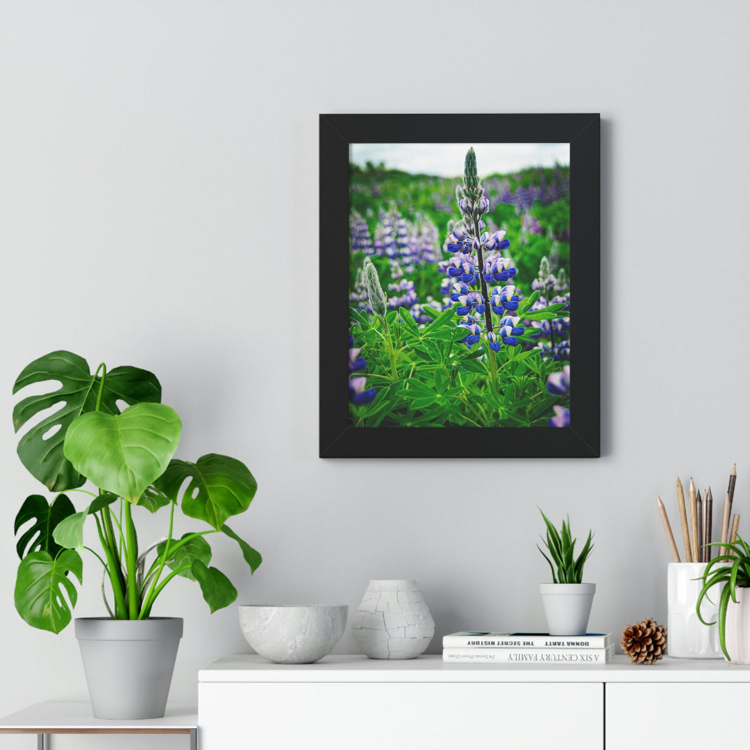 Glowing Lupin - Framed Print - Visiting This World