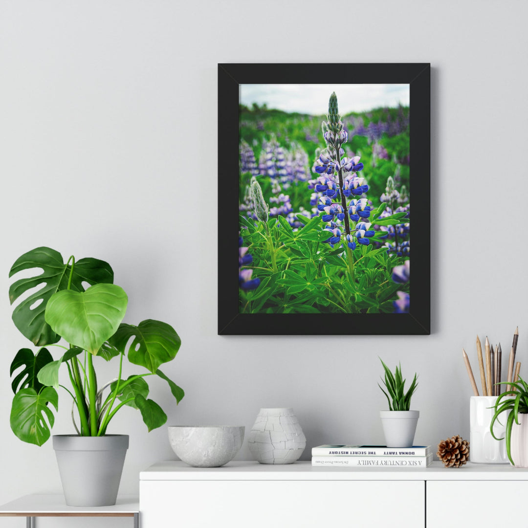 Glowing Lupin - Framed Print - Visiting This World