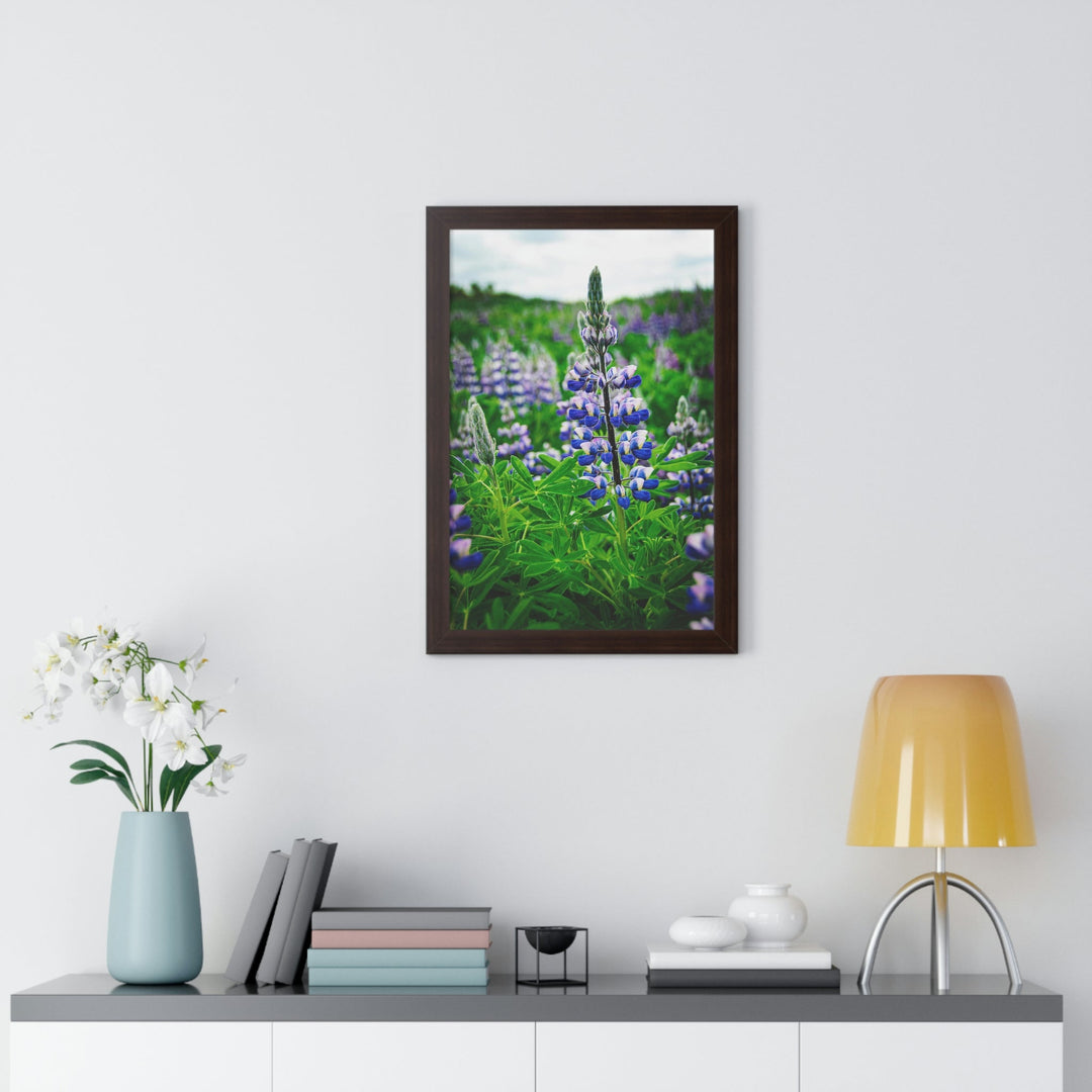 Glowing Lupin - Framed Print - Visiting This World