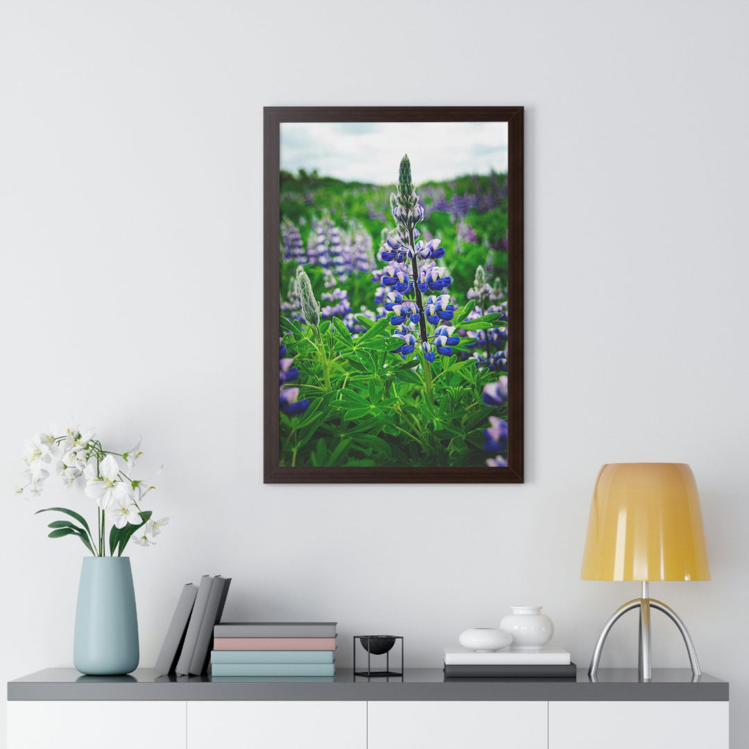 Glowing Lupin - Framed Print - Visiting This World