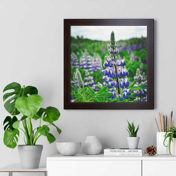 Glowing Lupin - Framed Print - Visiting This World