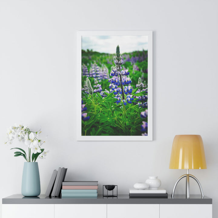 Glowing Lupin - Framed Print - Visiting This World