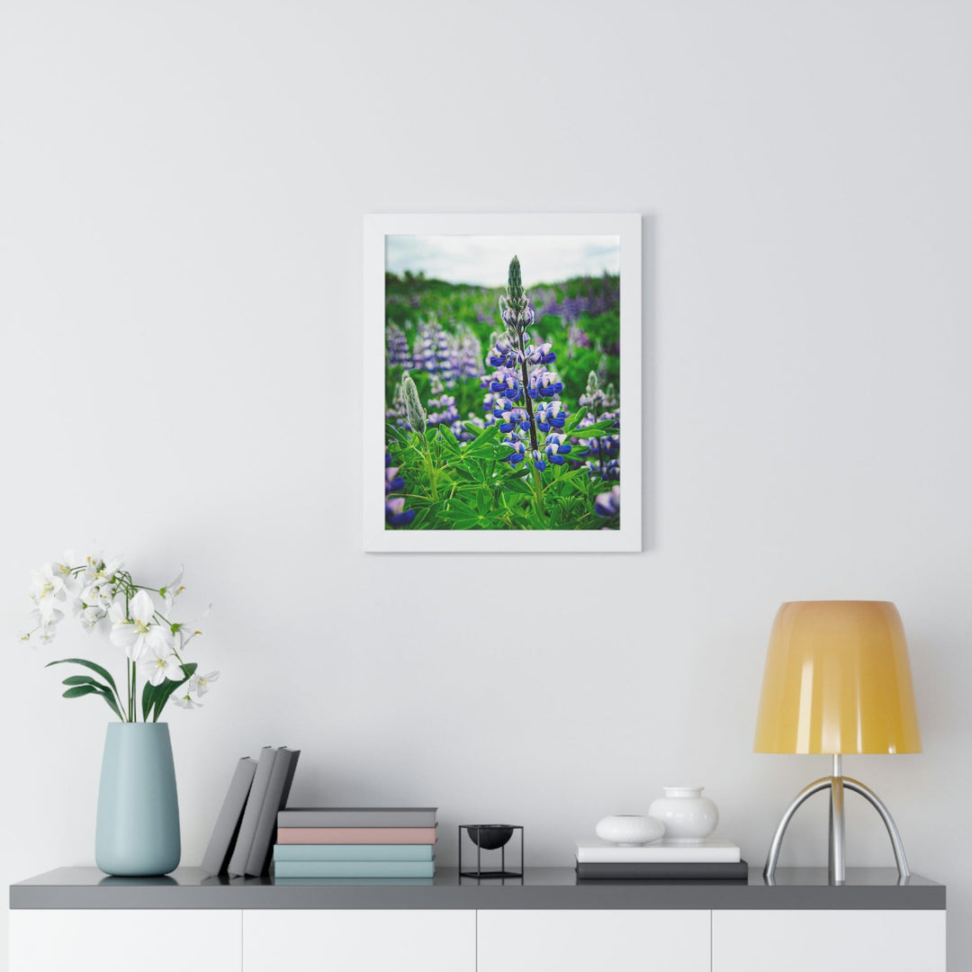 Glowing Lupin - Framed Print - Visiting This World