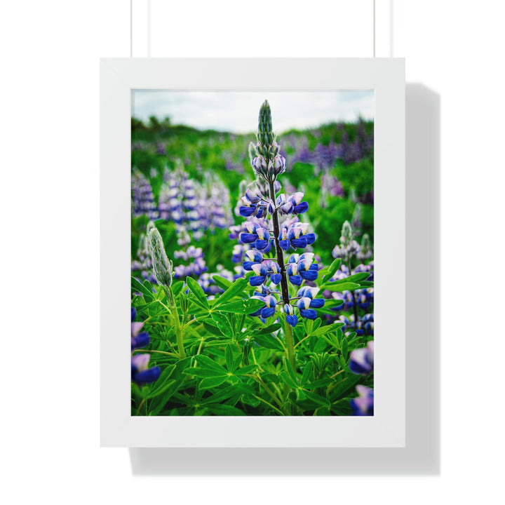 Glowing Lupin - Framed Print - Visiting This World