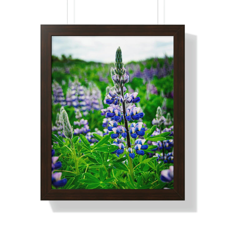 Glowing Lupin - Framed Print - Visiting This World