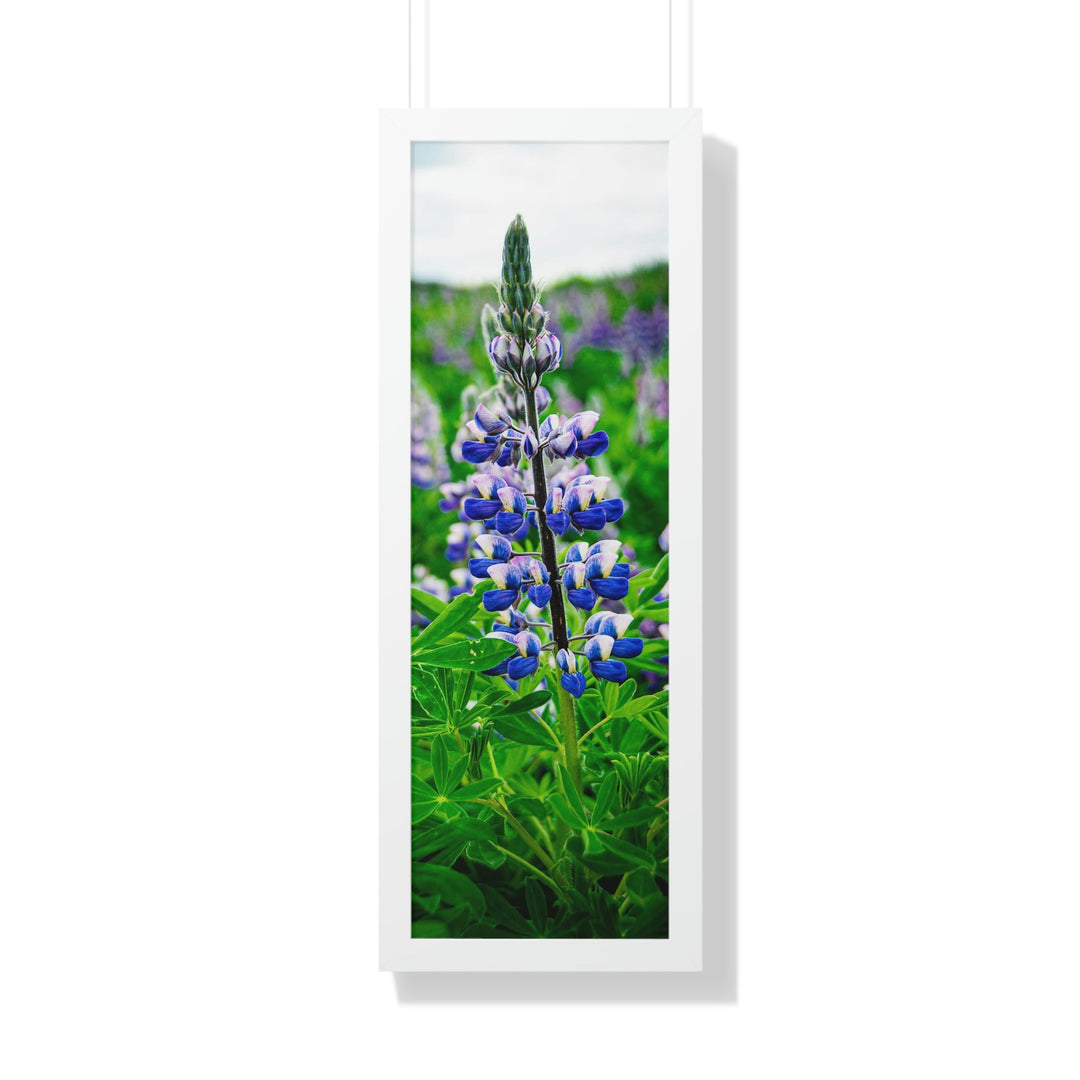 Glowing Lupin - Framed Print - Visiting This World