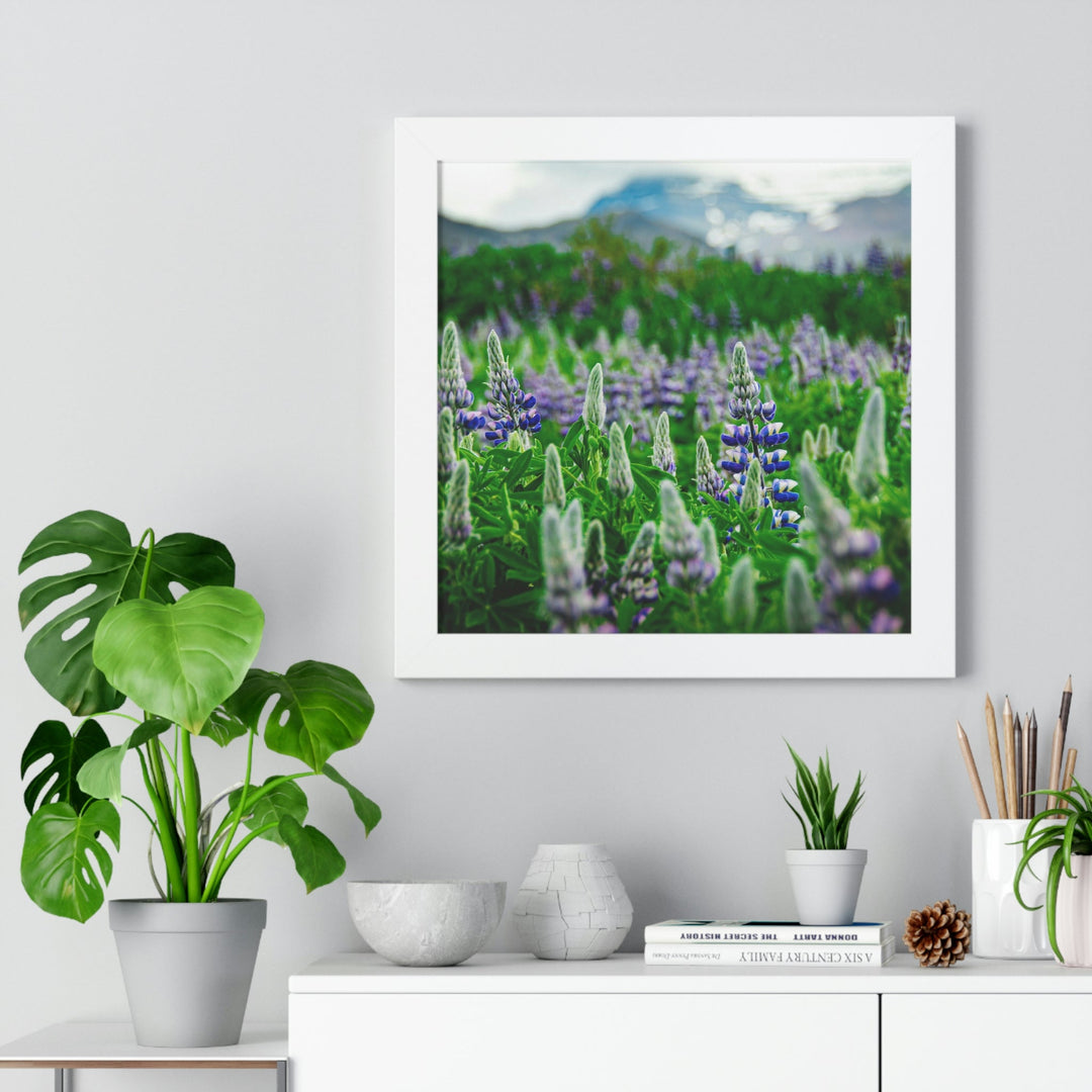 Glowing Lupin with Mountains - Framed Print - Visiting This World