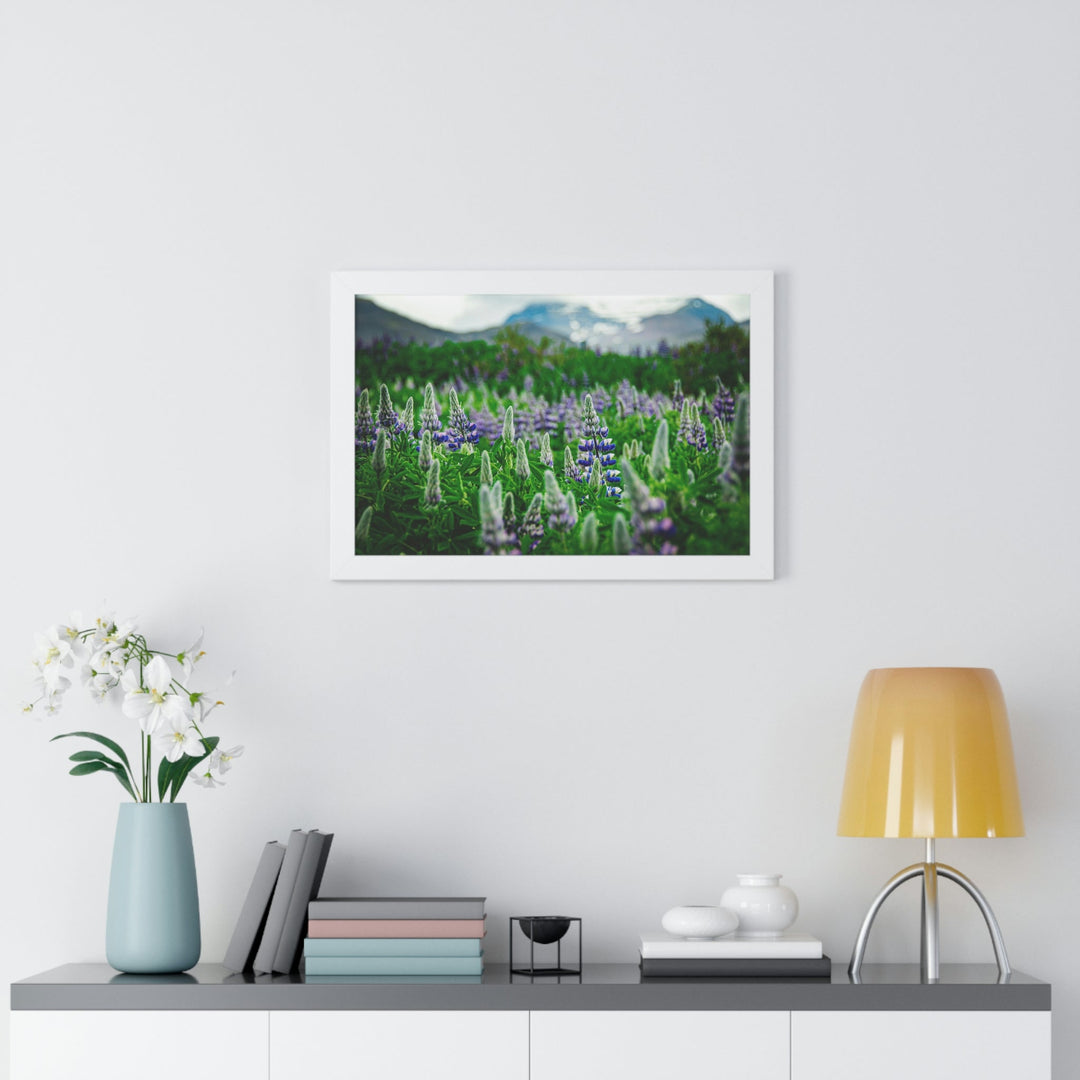 Glowing Lupin with Mountains - Framed Print - Visiting This World