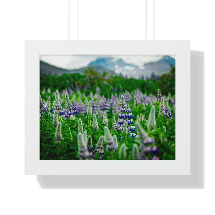 Glowing Lupin with Mountains - Framed Print - Visiting This World