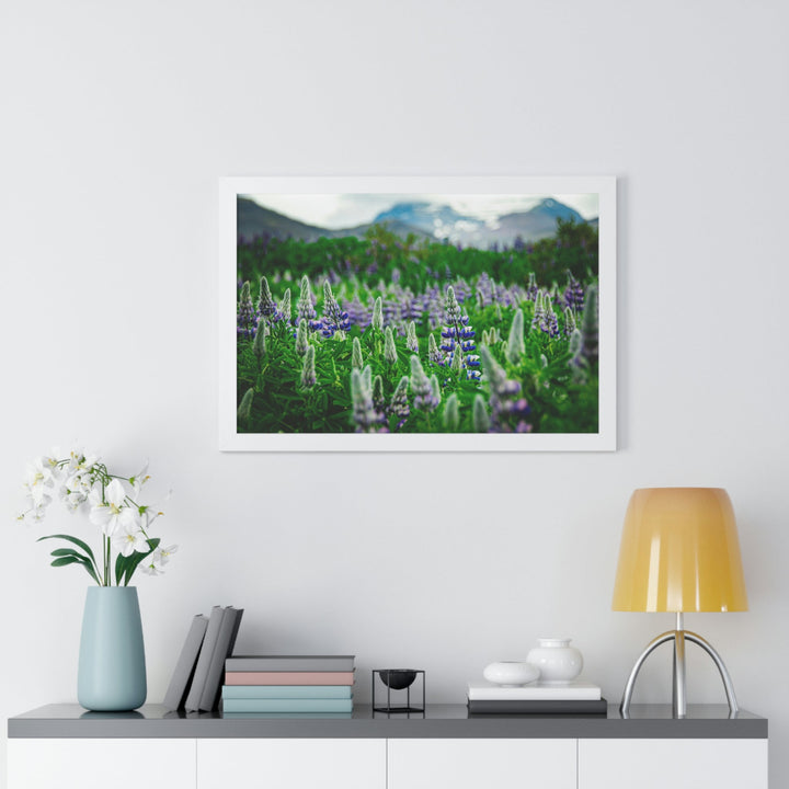 Glowing Lupin with Mountains - Framed Print - Visiting This World