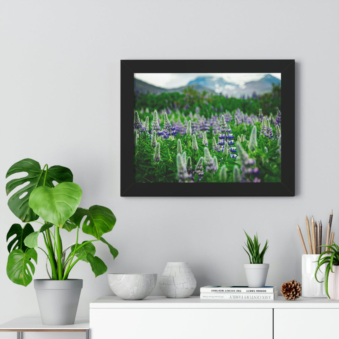 Glowing Lupin with Mountains - Framed Print - Visiting This World