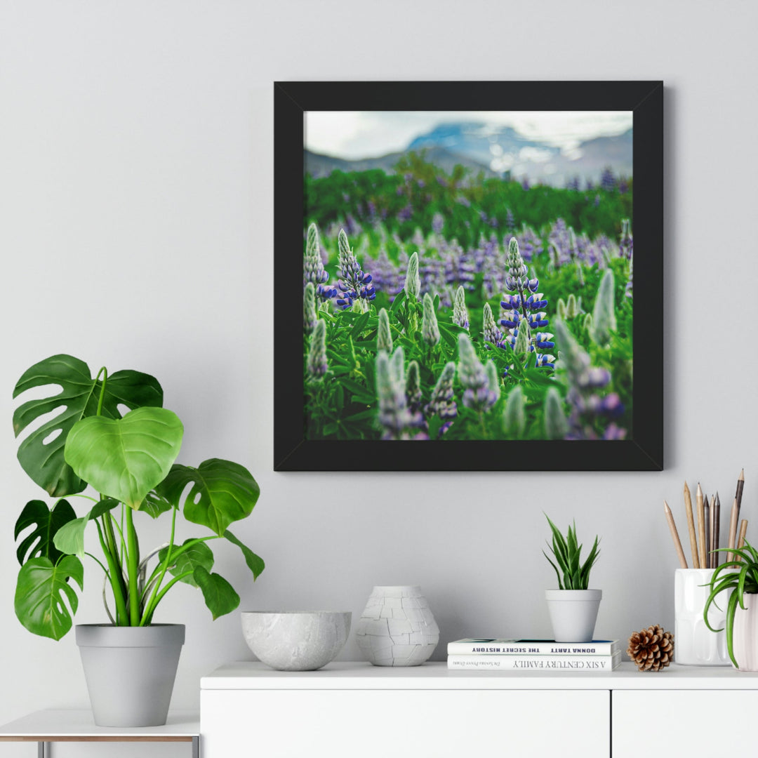 Glowing Lupin with Mountains - Framed Print - Visiting This World