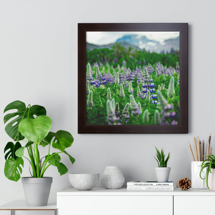 Glowing Lupin with Mountains - Framed Print - Visiting This World