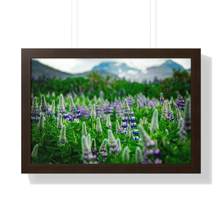 Glowing Lupin with Mountains - Framed Print - Visiting This World