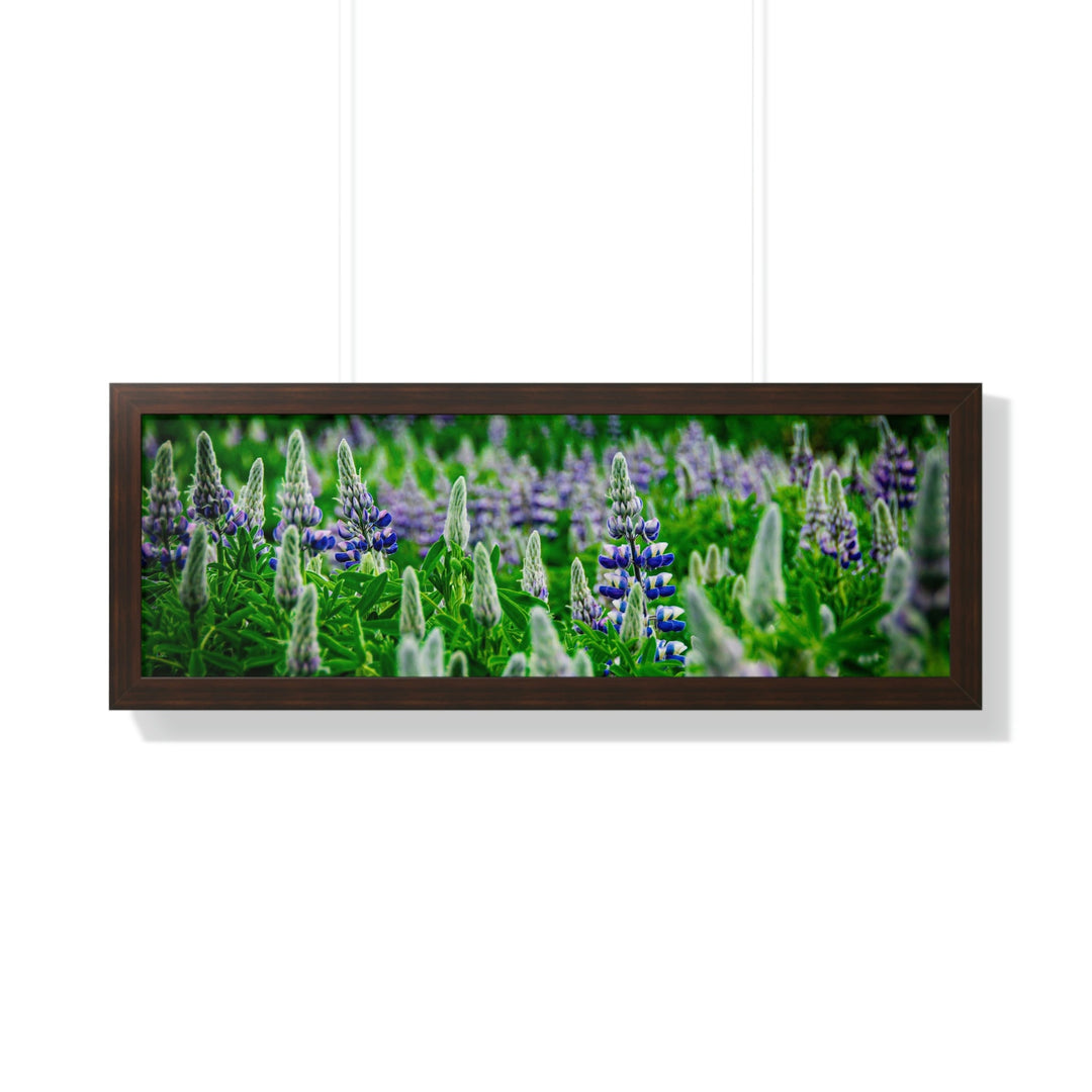 Glowing Lupin with Mountains - Framed Print - Visiting This World