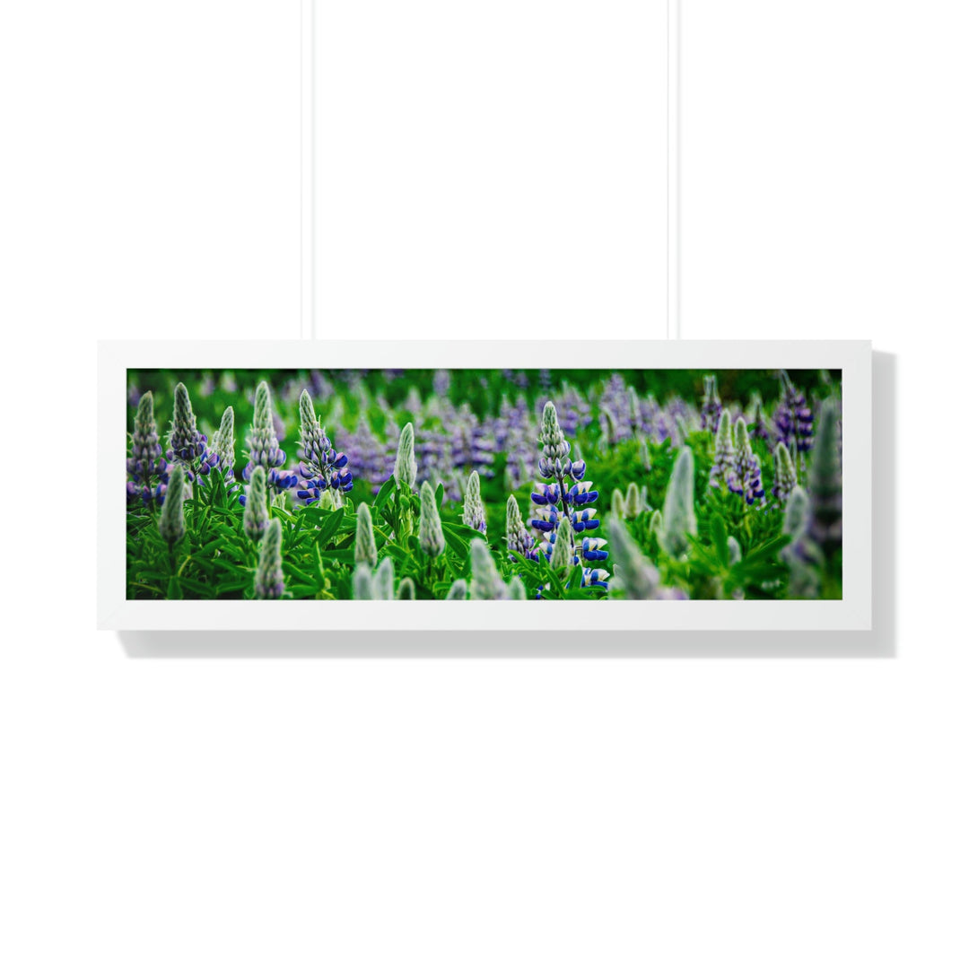 Glowing Lupin with Mountains - Framed Print - Visiting This World